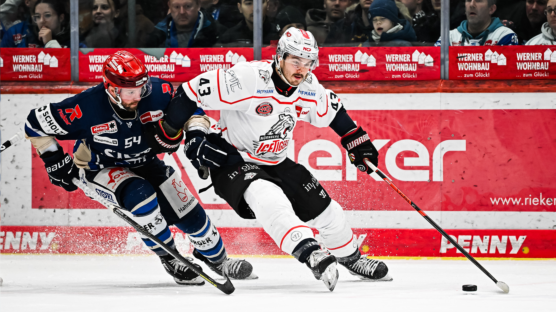 Schwenninger Wild Wings gg. Nürnberg Ice Tigers